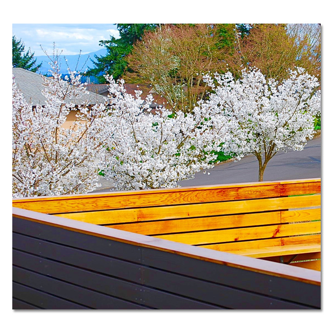 Landscape Design by Chris Ingalls