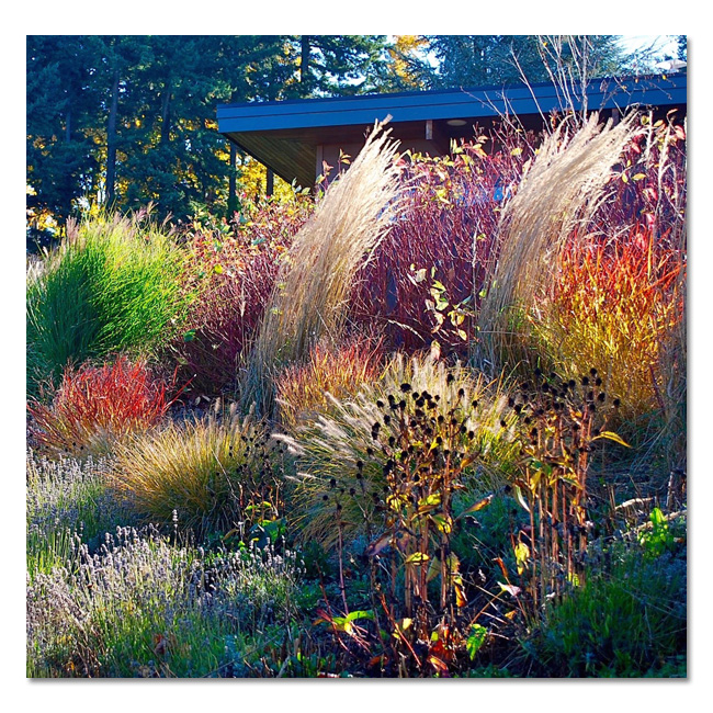 Landscape Design by Chris Ingalls
