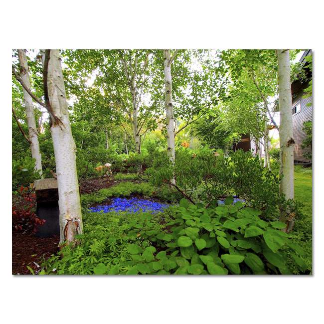 Landscape Design by Chris Ingalls