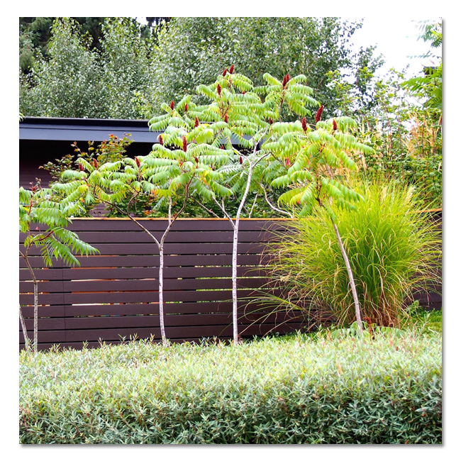 Landscape Design by Chris Ingalls